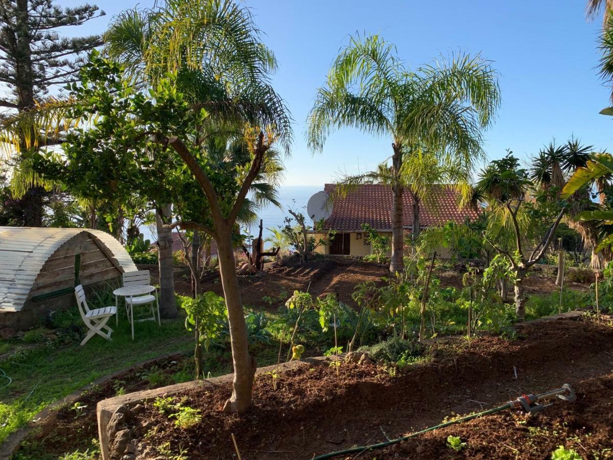 Ferienwohnung Finca Monica La Matanza De Acentejo Exteriér fotografie