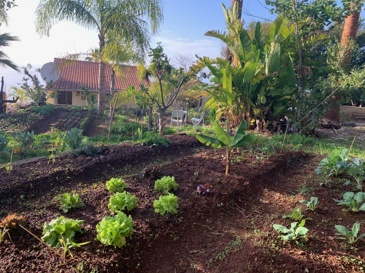 Ferienwohnung Finca Monica La Matanza De Acentejo Exteriér fotografie
